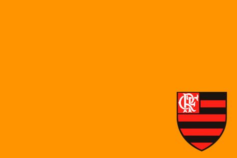 Montagem De Fotos Flamengo
